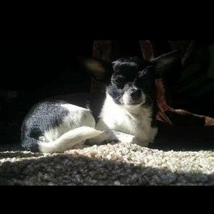 Meet your Posher, Jami